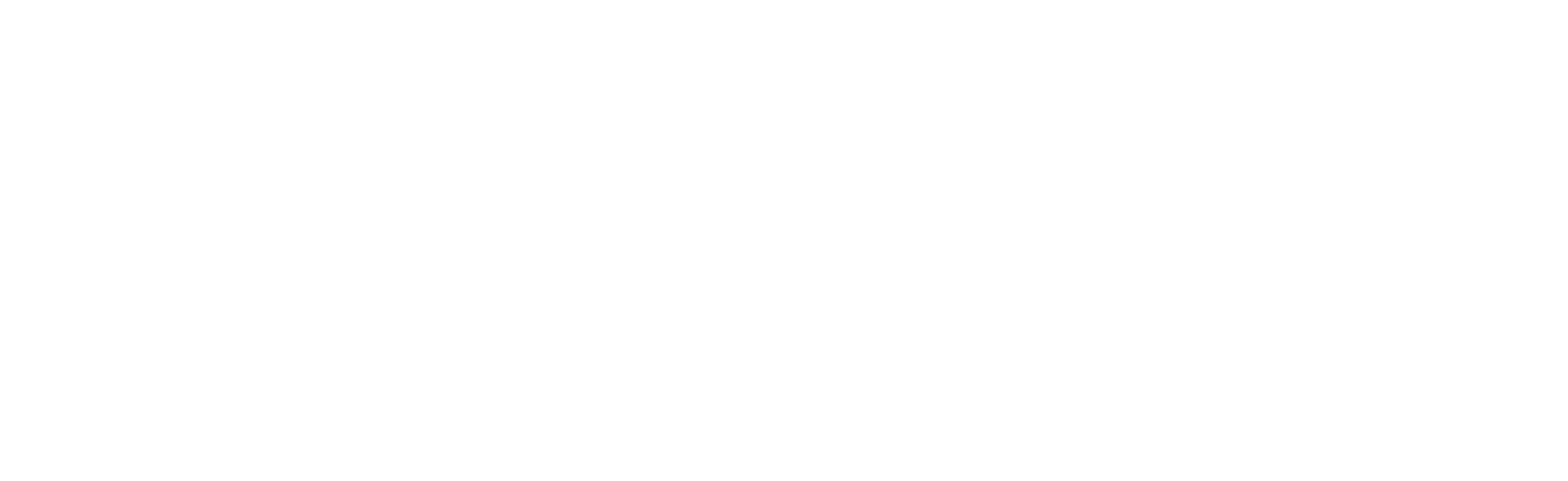 Lieferando_Logo_WHITE